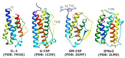 Cytokines are some of the most potent therapeutic proteins we have